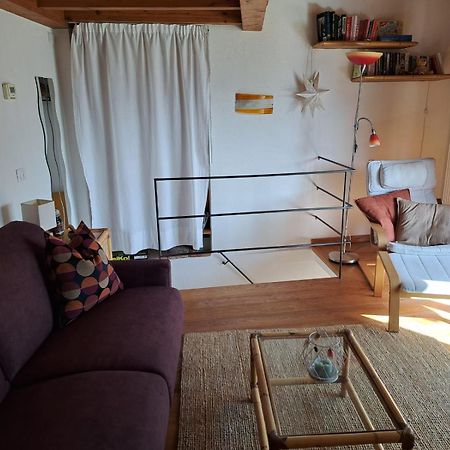 Casa Vista Lago E Giardino 波尔莱扎 外观 照片